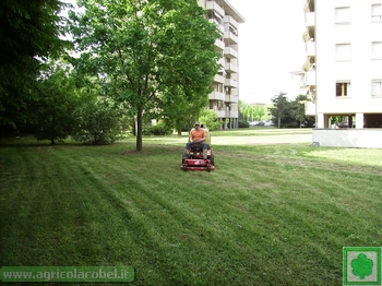 il perito agrario Michele